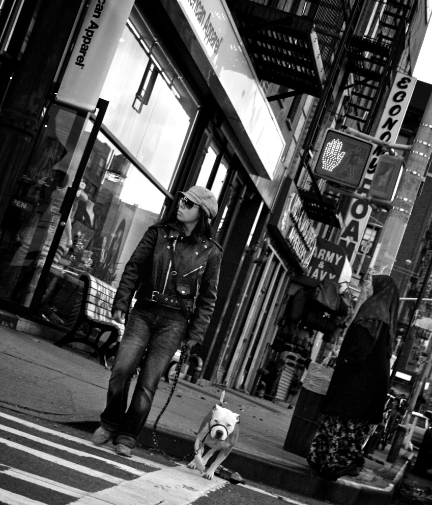 http://eliacin.com/2010/03/crossing/